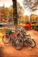 Cluster of bikes, Amsterdam