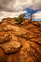 Canyonlands rock