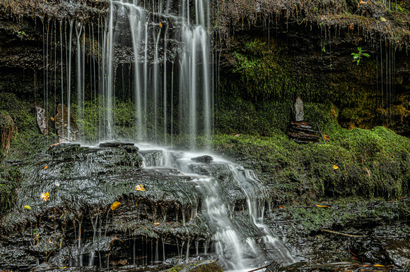 Falls and moss